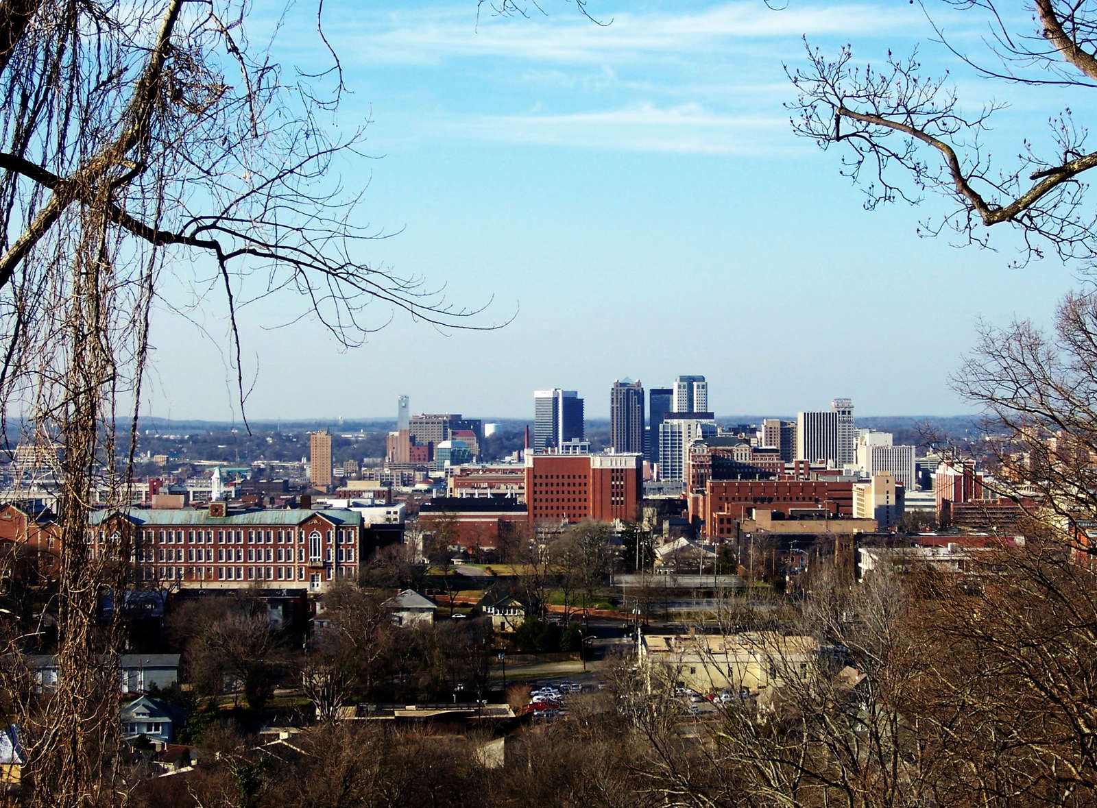 Birmingham, Alabama skyline from Vulcan Park