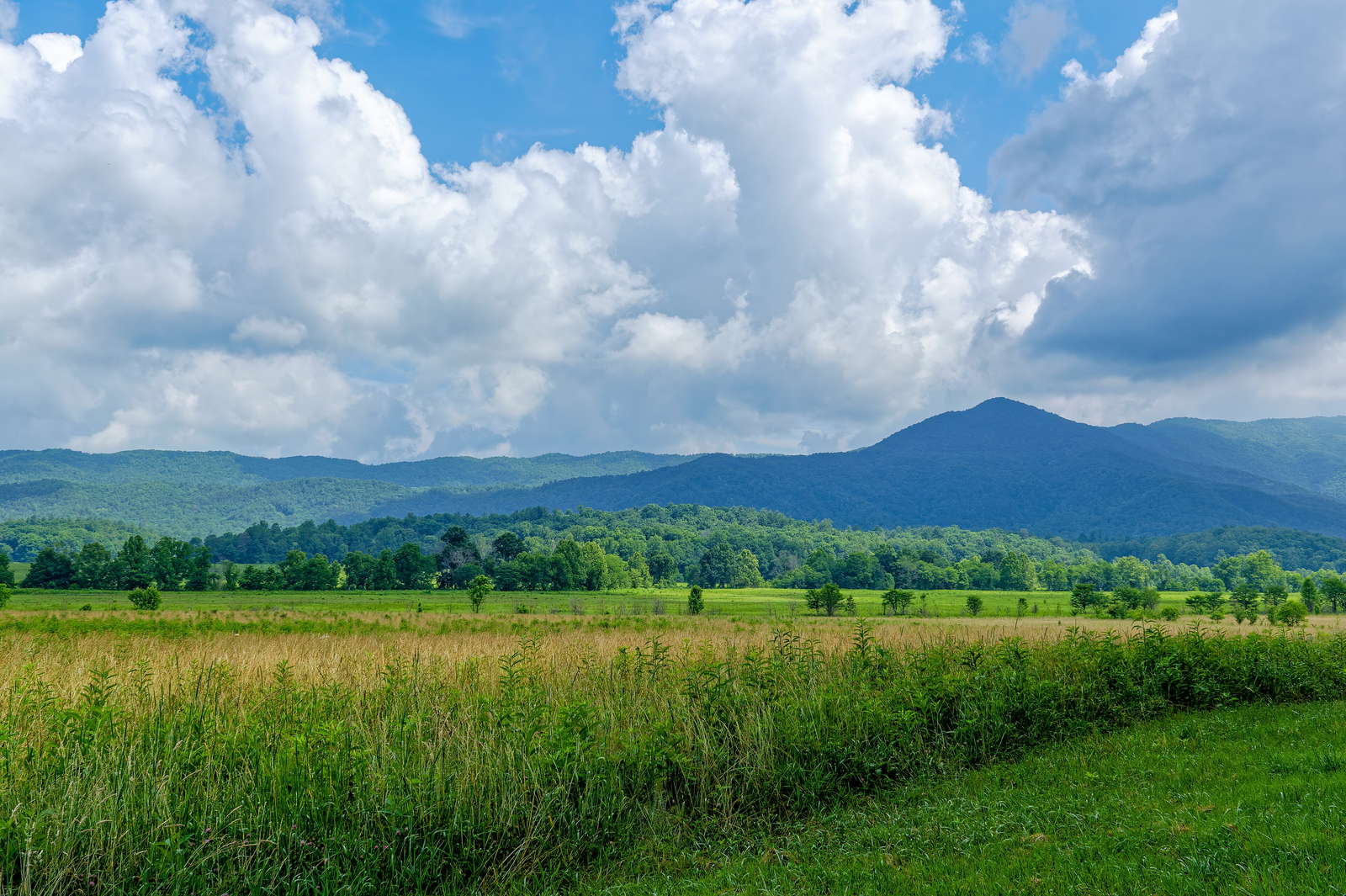 The Great Smoky Mountains east of Knoxville