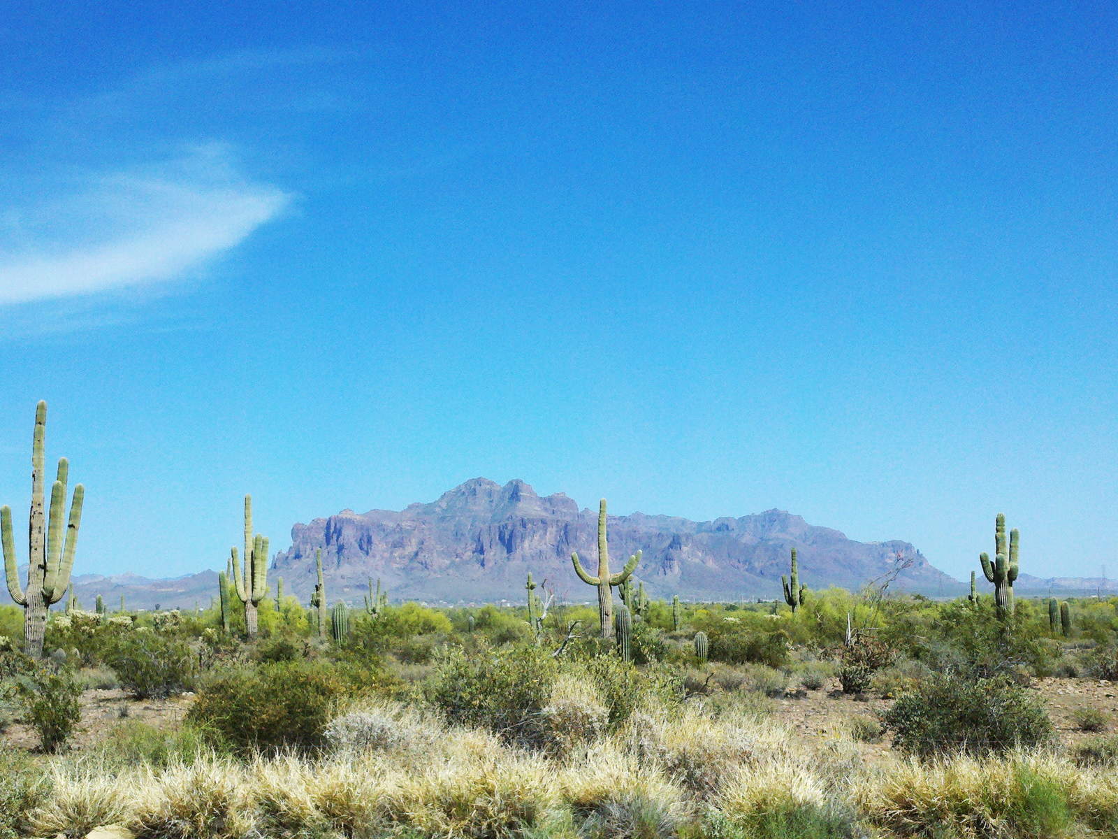 Downtown Gilbert, Arizona, in the southeast Valley